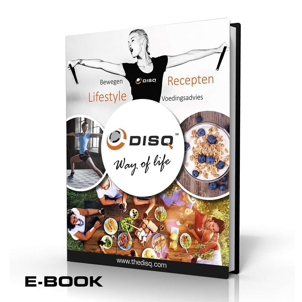 DISQ-Product-Ebook